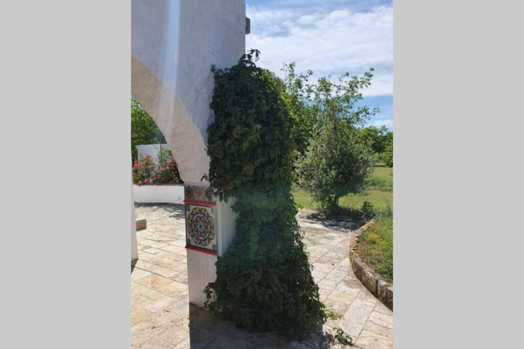 הוילה Trulli Relax A מרטינה פרנקה מראה חיצוני תמונה